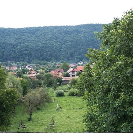 Pensiunea Floricel Stoeneşti Exteriör bild