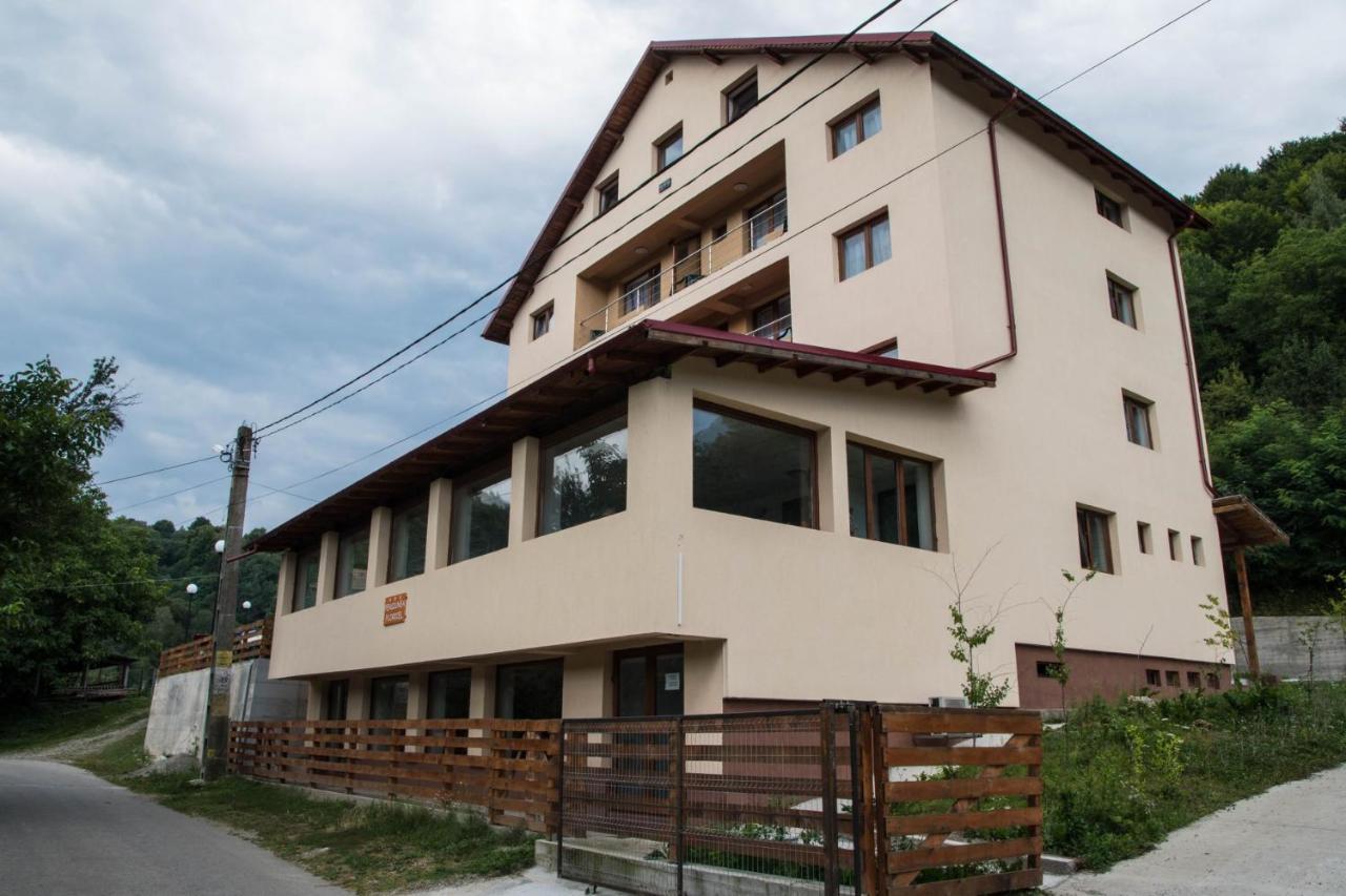 Pensiunea Floricel Stoeneşti Exteriör bild